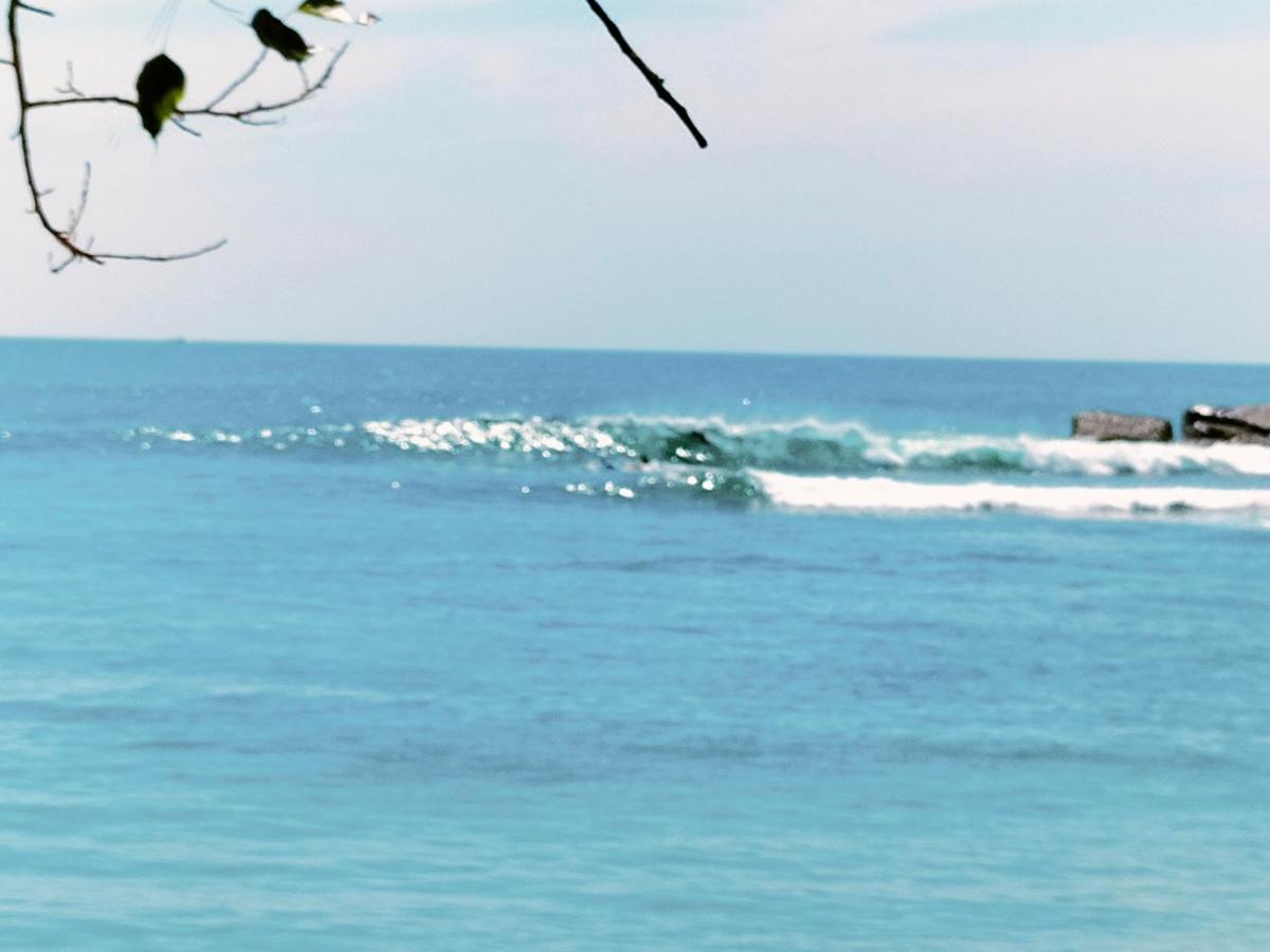 Secret Swell Hotell Tangalle Eksteriør bilde