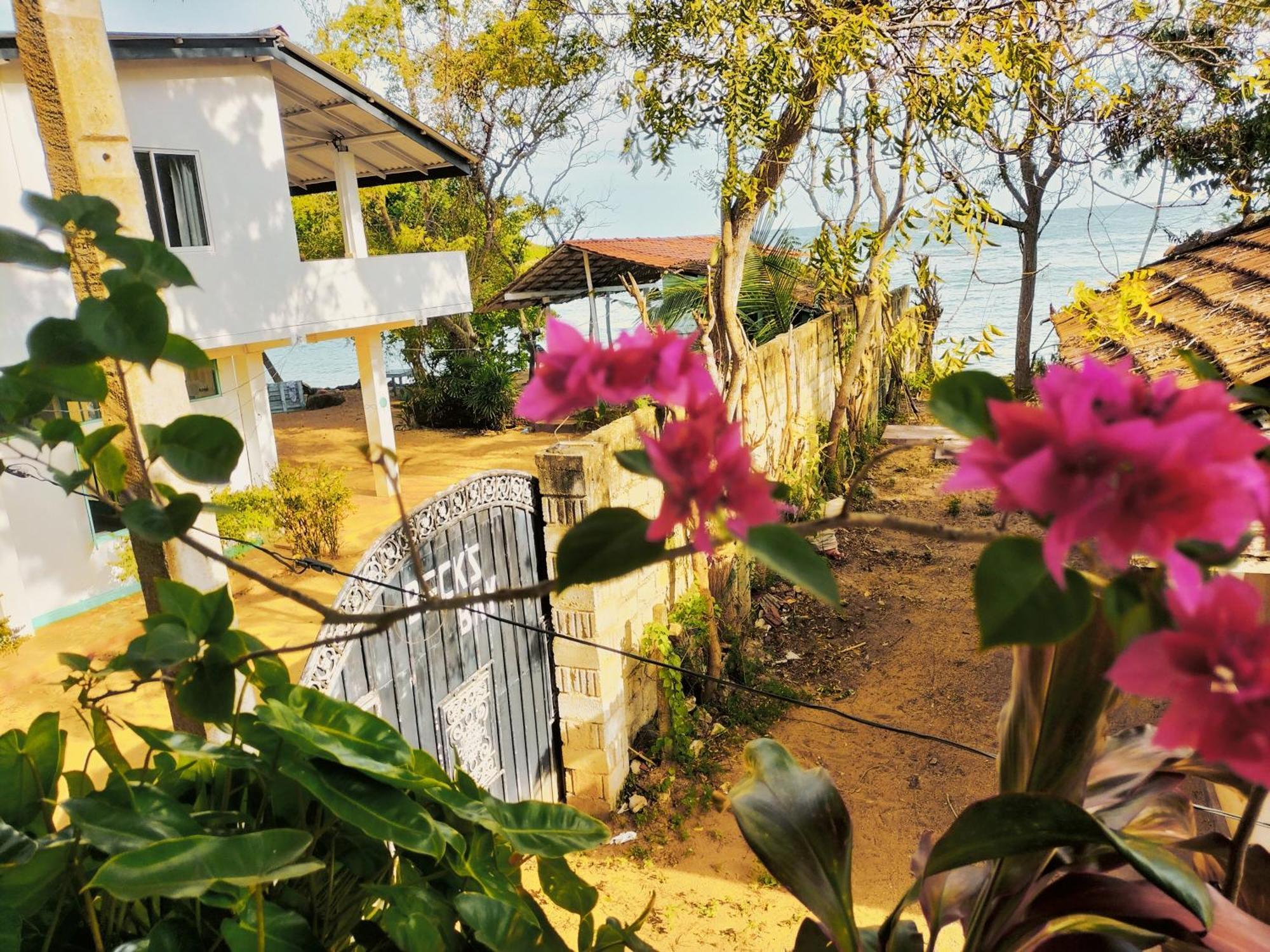 Secret Swell Hotell Tangalle Rom bilde